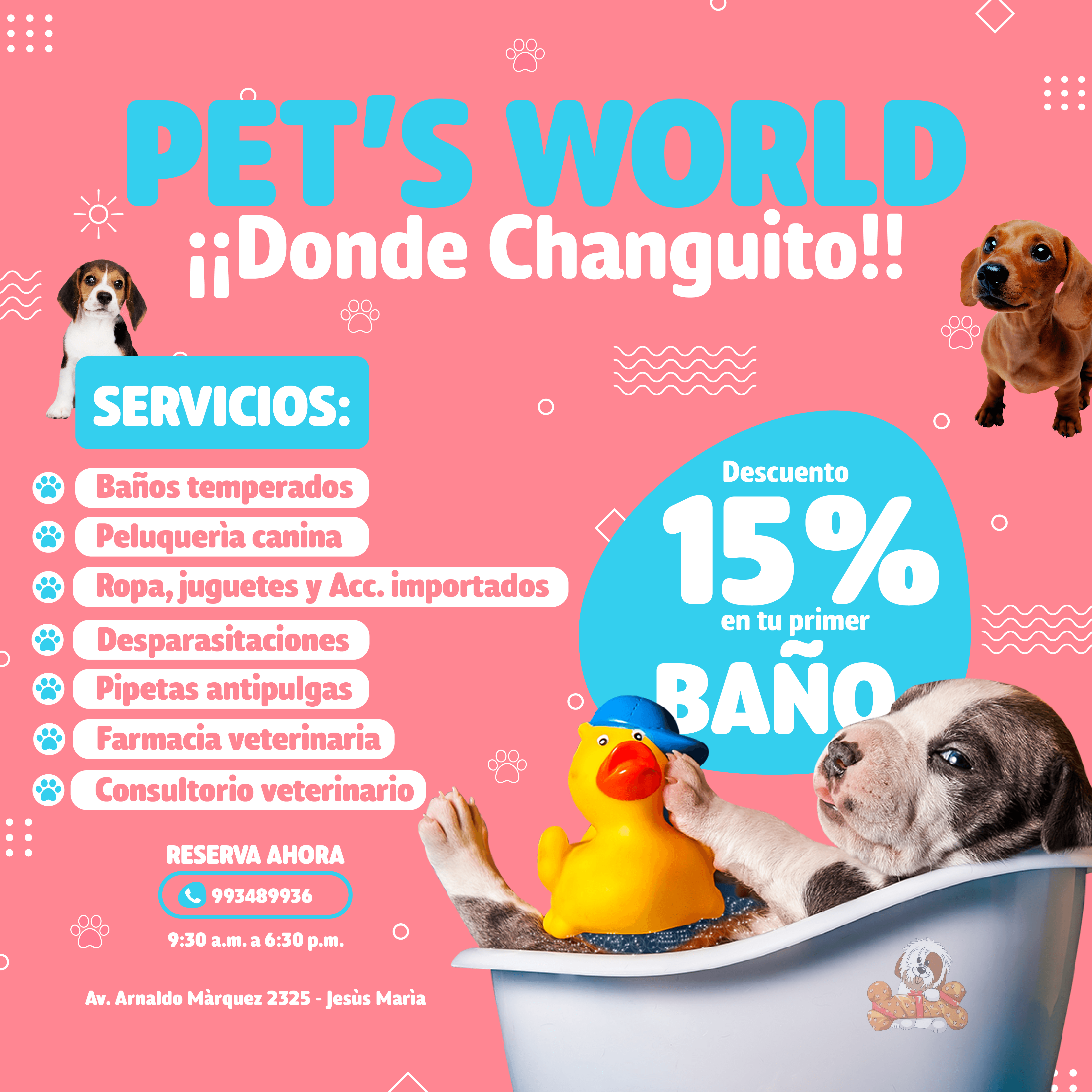 Pet's World (en donde Changuito)