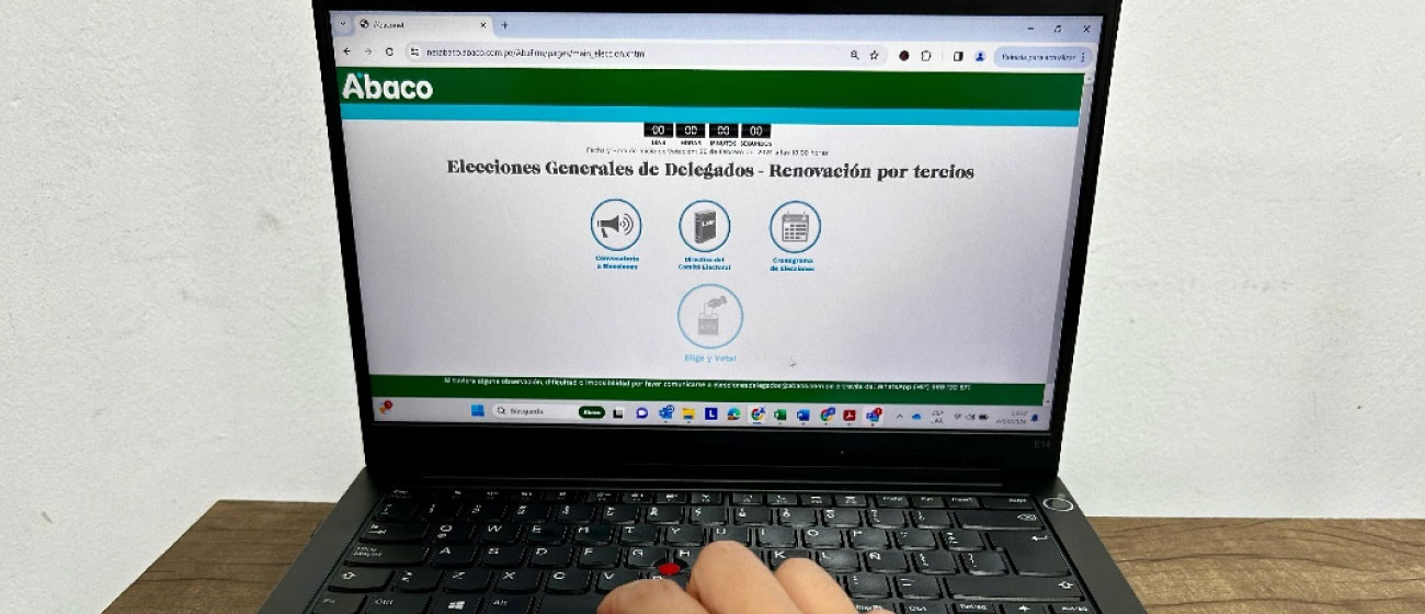 Elecciones de Delegados 2025