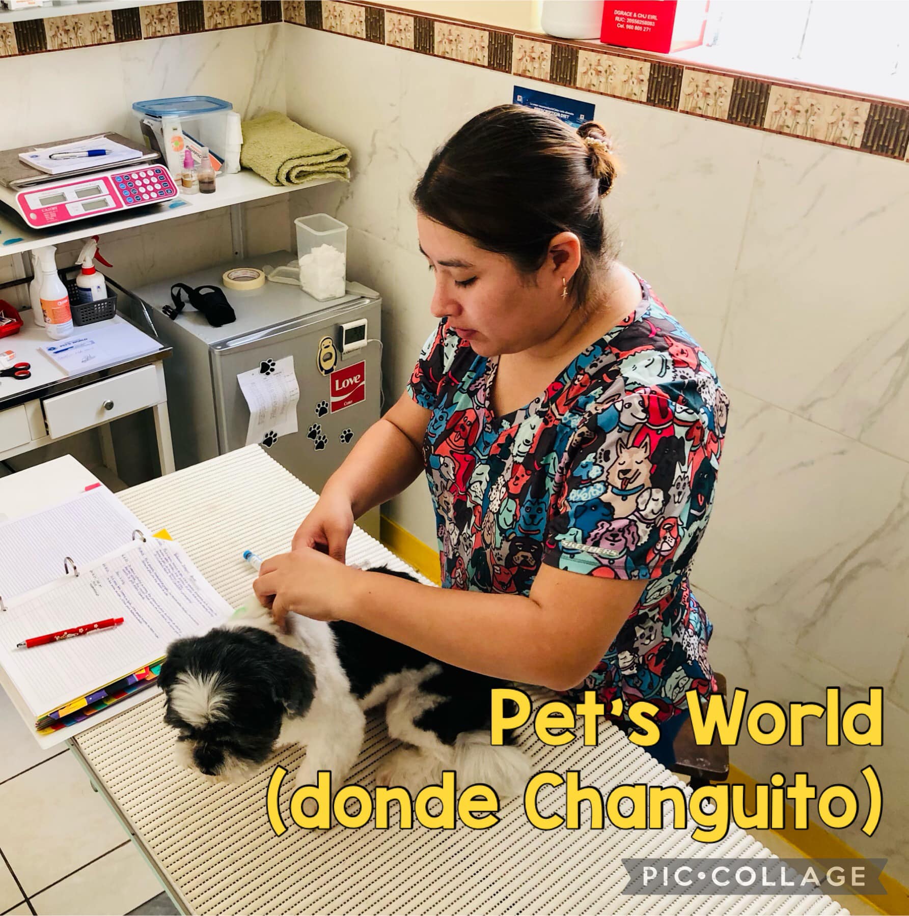 Pet's World (en donde Changuito)
